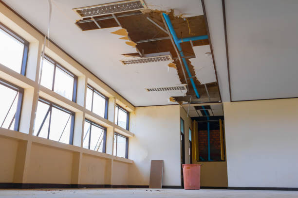 Best Water damage restoration specialists  in Rinna, VA