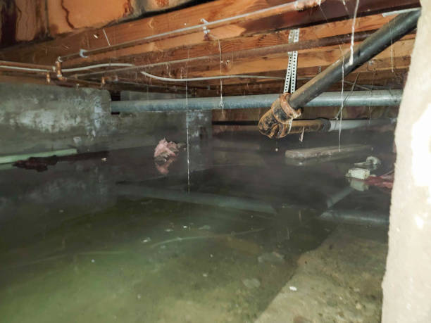 Best Sewage cleanup and water damage restoration  in Rinna, VA