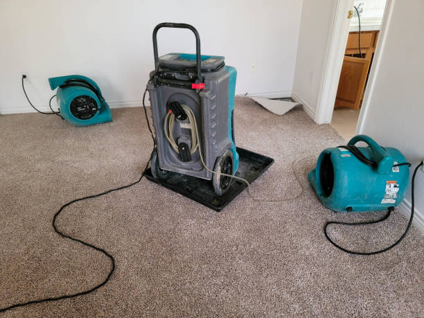 Best 24/7 water damage repair  in Rinna, VA