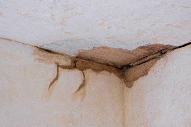 Best Ceiling water damage repair  in Rinna, VA