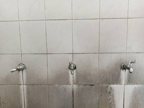 Best Flood restoration services  in Rinna, VA