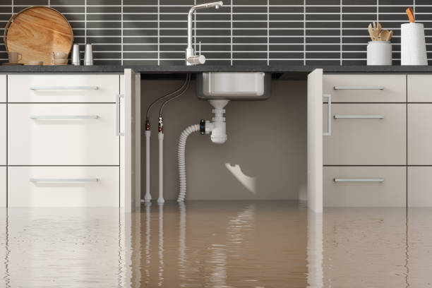 Best Carpet water damage restoration  in Rinna, VA