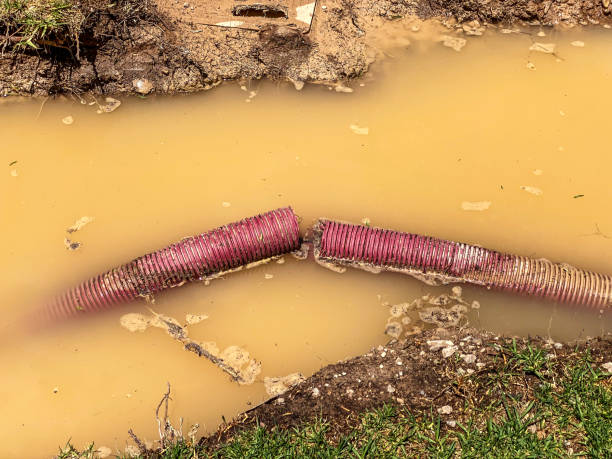 Best Commercial water damage restoration  in Rinna, VA