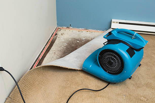 Best Flood damage cleanup  in Rinna, VA